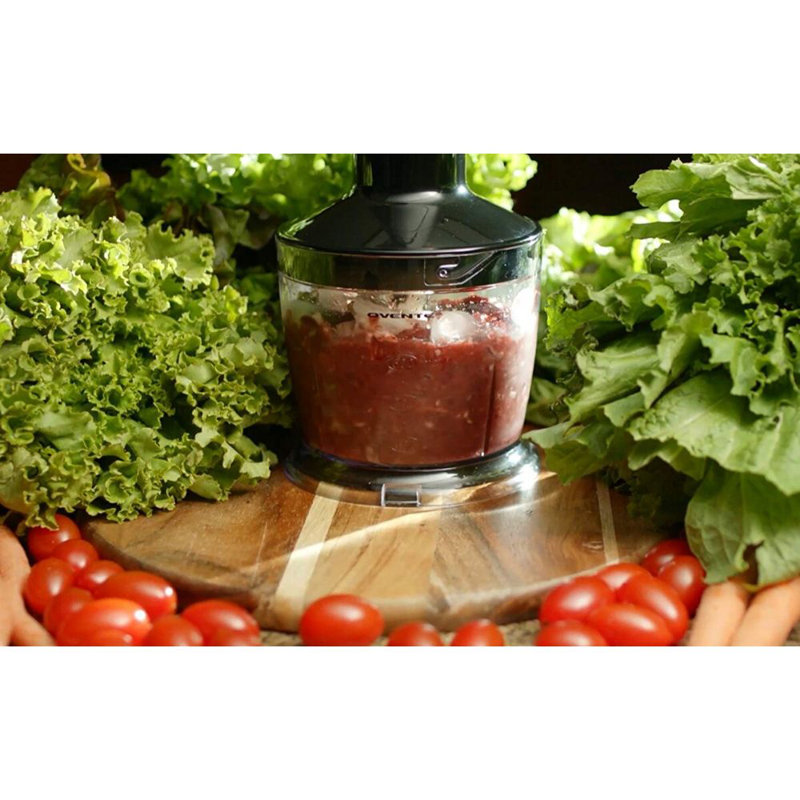 Ovente 6 Speed Hand Immersion Blender & Reviews Wayfair